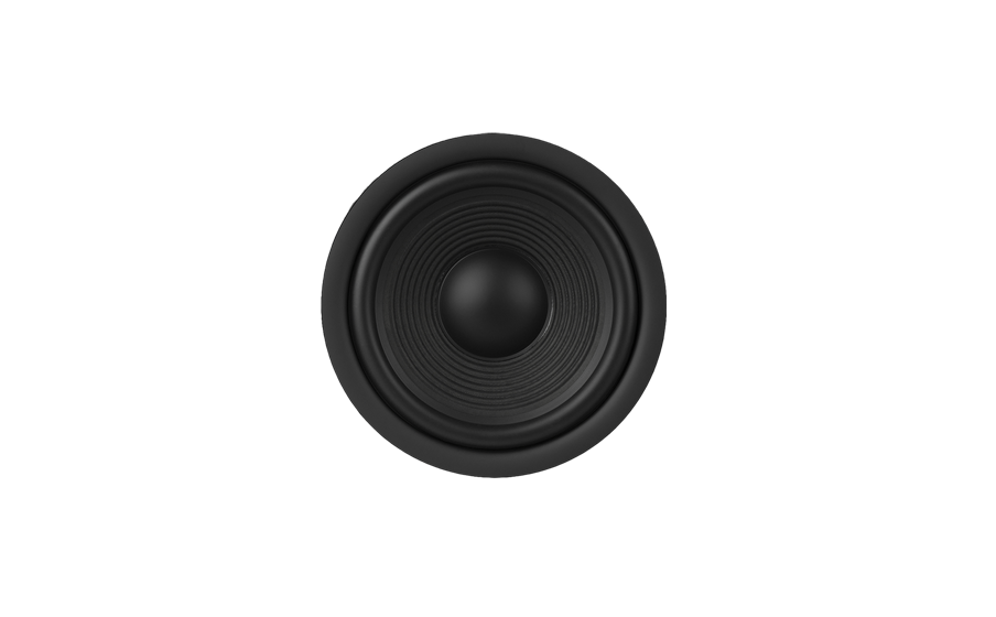 10-inch (250mm) Polycellulose Ribbed Cone Low-Frequency Woofer